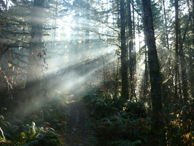 Quarterly Update - 2025 Q4: