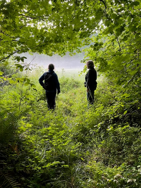 Quarterly Update - 2025 Q3: